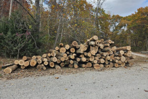 Legacy Timber Firewood