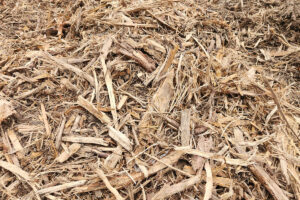 Legacy Timber Forestry Mulching