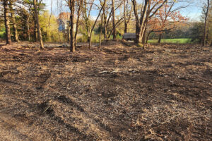 Legacy Timber Land Clearing