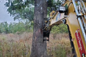 Legacy Timber Land Clearing