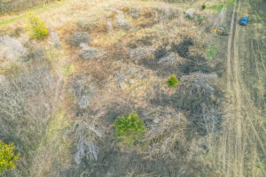 Legacy Timber ROW Land Clearing