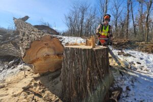 Commercial Land Clearing