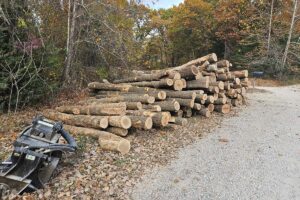 Legacy Timber Land Clearing
