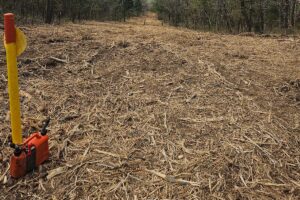 Legacy Timber Land Clearing