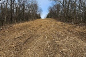 Legacy Timber Land Clearing